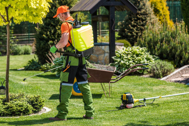 Best Lawn Pest Control  in Oceanside, NY